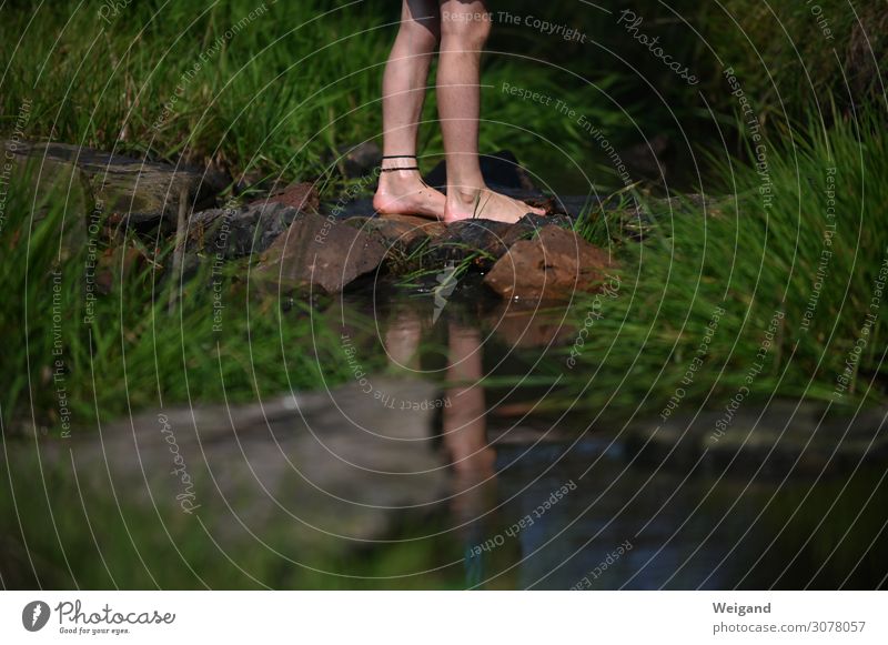 Life on the river Healthy Human being Masculine Child Toddler Boy (child) Swimming & Bathing Surprise Summer Brook Summer vacation Aquatics Barefoot