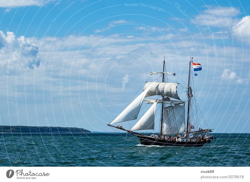 Sailing ships on the Hanse Sail in Rostock Relaxation Vacation & Travel Tourism Summer Ocean Fairs & Carnivals Water Clouds Coast Baltic Sea Tourist Attraction