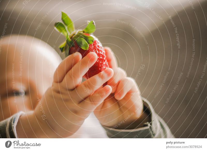 Baby holding strawberry up in his hand Lifestyle Joy Happy Body Skin Child Infancy Hand Fingers 0 - 12 months Environment Nature Spring Summer Climate change