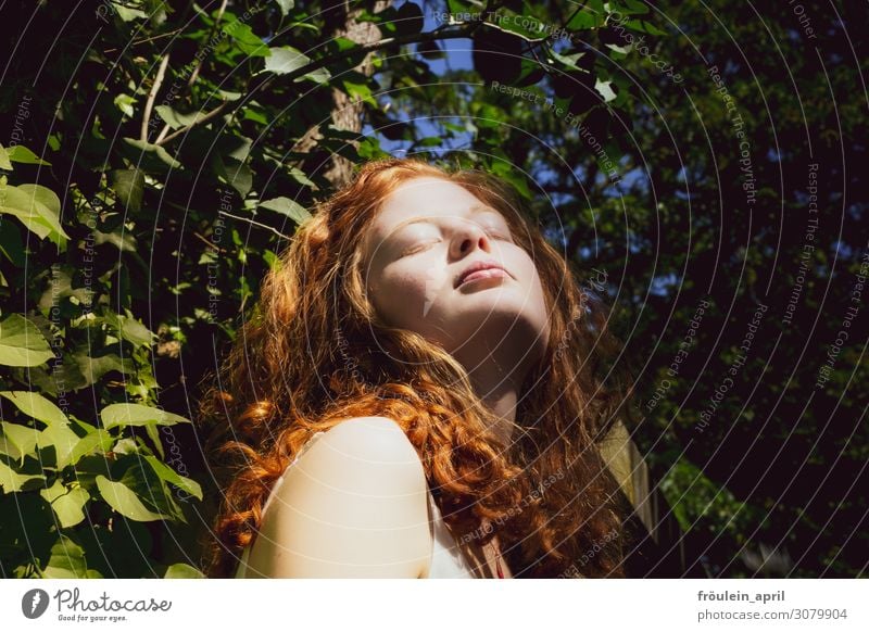 redheaded woman enjoys the sun Tree leaves Contrast Linda Nature Summer daylight To enjoy Green Young woman Red-haired Adults Human being 1 Day Feminine