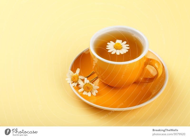Yellow cup of herbal tea with camomile Beverage Hot drink Tea Mug Healthy Health care Medical treatment Wellness Life Harmonious Well-being Relaxation Flower