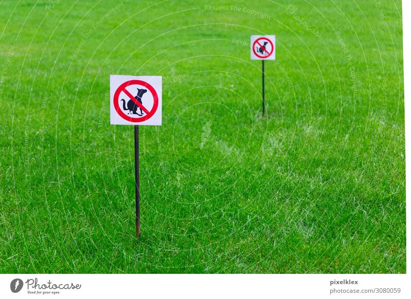No dogs! Summer Garden Environment Nature Grass Park Meadow Deserted Pet Dog Signs and labeling Signage Warning sign Town Green Red Black White Obedient