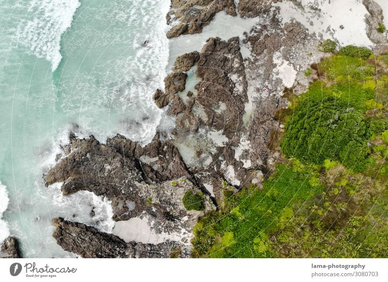 wild coast Coast Waves Ocean New Zealand Wild Wilderness Aerial photograph droning Rock vegetation items Surf Water Nature White crest Elements Abstract