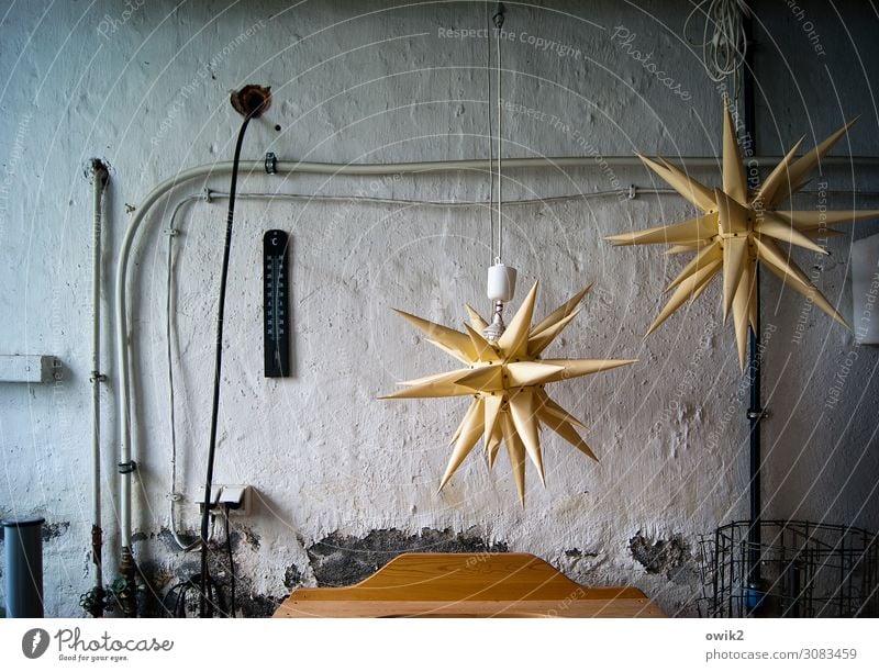 Think about Christmas Wall (barrier) Wall (building) Cable Pipe Plaster Plastered Star (Symbol) Herrnhuter Star Christmas decoration Metal Plastic Hang Gloomy