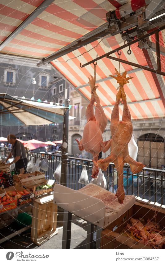 upside down Market stall Poultry Plucked Italy Catania Head first
