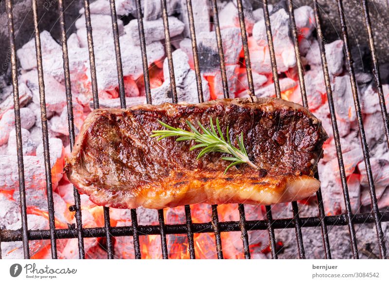 Grilled steak Meat Nature Warmth Barbecue (apparatus) Wood Rust Hot Red Black Authentic Steak beef steak Beef Rosemary Charcoal Fireplace Flame BBQ Coal ash