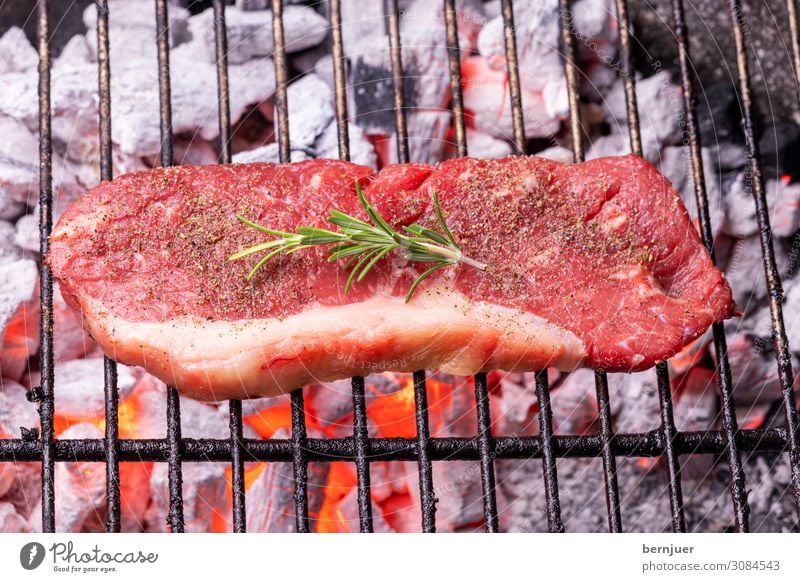 Steak on the grill Meat Nature Warmth Barbecue (apparatus) Wood Rust Hot Red Black beef steak Beef Rosemary Charcoal Fireplace Flame BBQ Grill Coal Burn Glow