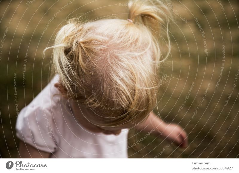 valuable | man and nature (2) Human being Toddler Head Hair and hairstyles 1 Environment Nature Grass Meadow Movement Happiness Healthy Natural Emotions Joy