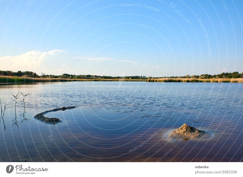 therapeutic lake with iodine and minerals Vacation & Travel Tourism Summer Sun Environment Nature Landscape Plant Sky Tree Grass Leaf Park Forest Pond Lake