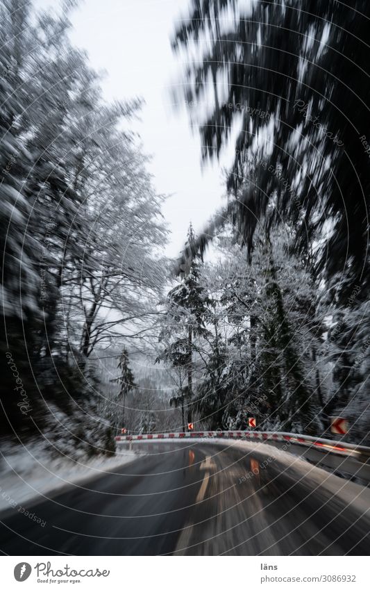 Curve position l on the road again Environment Landscape Winter Ice Frost Snow Tree Forest Mountain Black Forest Transport Traffic infrastructure Motoring
