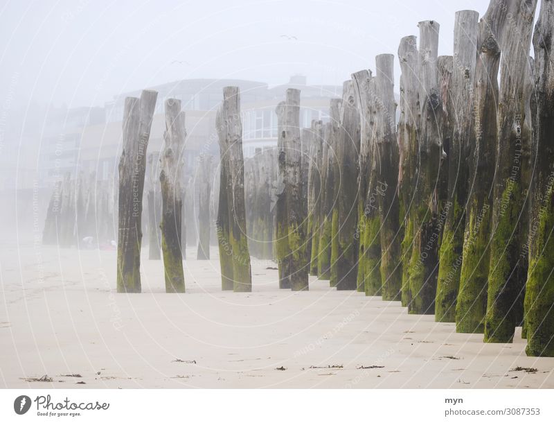 Beach promenade of St. Malo in Brittany with breakwater in fog Ocean coast Fog Shroud of fog Deserted Water Sky Colour photo Exterior shot Nature Grand piano