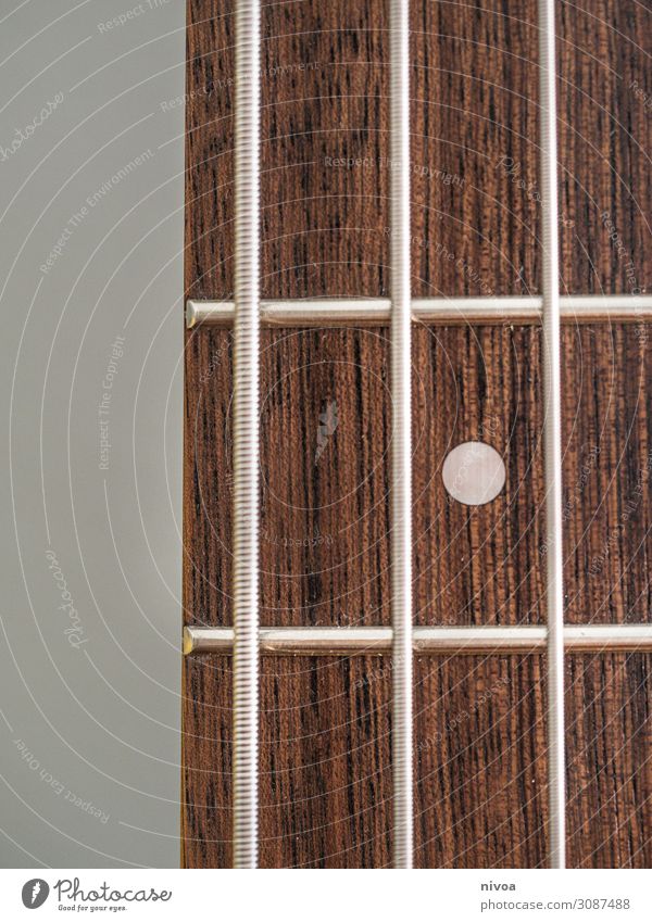 Fingerboard of a guitar Musician Singer Band Guitar guitar grip Fretboard Musical instrument string Linearity Wood Utilize Listening Study Listen to music