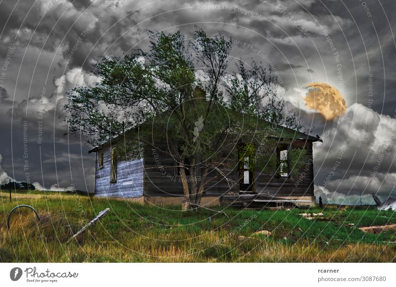 Abandoned house on a scary night Print media Elements Sky Storm clouds Night sky Full  moon Thunder and lightning Tree Field Outskirts Deserted Hut Door Poverty
