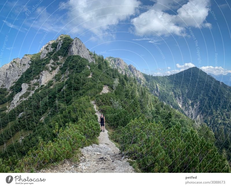 comb migration Mountain Hiking 1 Human being Landscape Sky Summer Beautiful weather Chalk alps Peak Gigantic Infinity Tall Above Blue Gray Green Joy