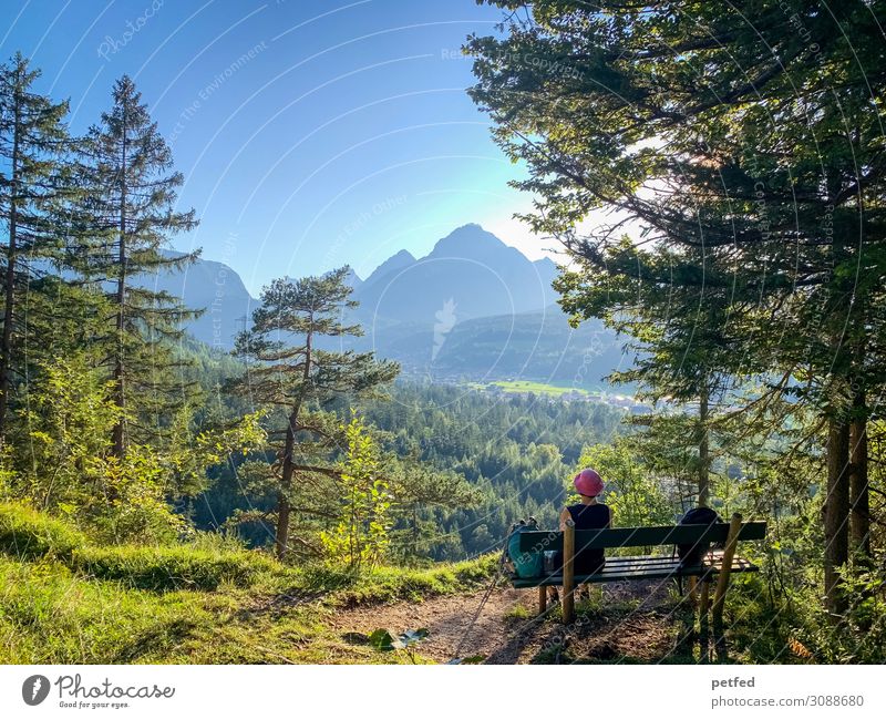 Pause II Mountain Hiking 1 Human being Landscape Sky Summer Tree Forest Alps Peak Think Relaxation To enjoy Looking Sit Blue Green Contentment Calm Movement