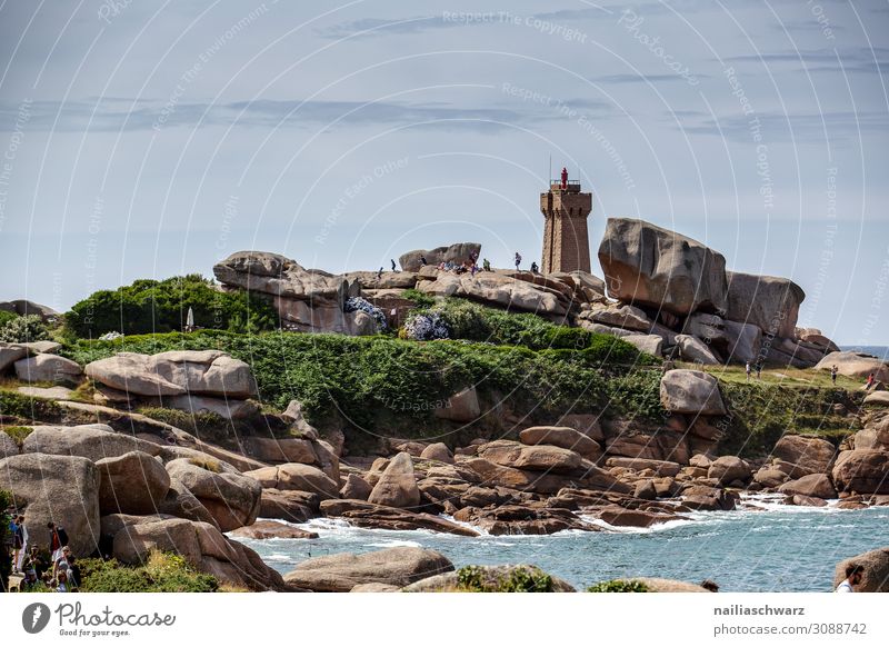 Lighthouse, Pink Granite Coast Lifestyle Vacation & Travel Tourism Trip Adventure Far-off places Summer Summer vacation Beach Environment Nature Landscape Ivy