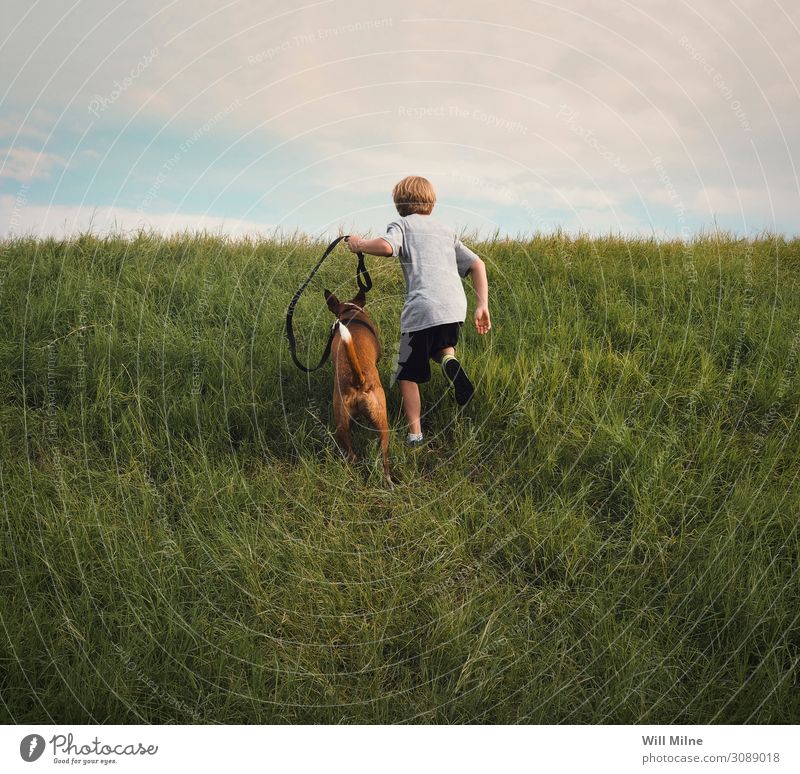 Boy and His Dog Running Up a Hill Boy (child) Child Youth (Young adults) Young man Youth culture Animal Pet Grass Runner Joy Clouds Day Happiness Infancy