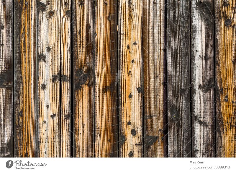 wood texture Wood Brown Wood grain Wooden wall Panels Annual ring Colour photo Exterior shot Deserted Copy Space left Copy Space right Copy Space top