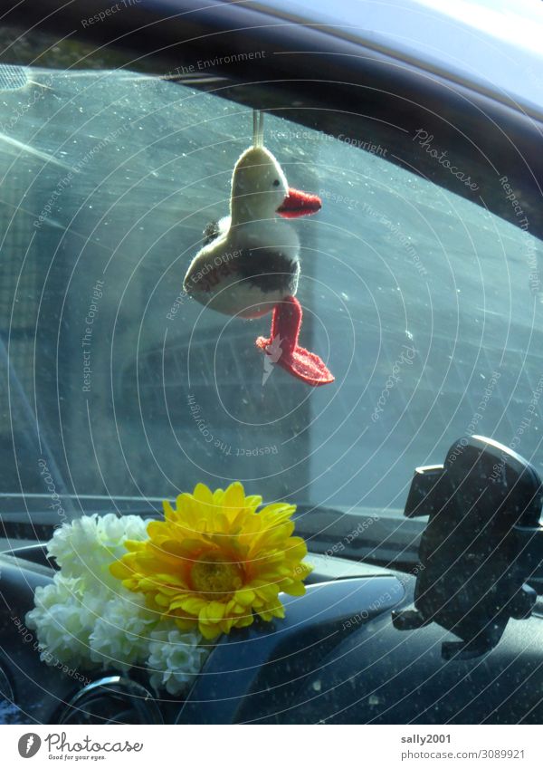 carpooling Transport Passenger traffic Motoring Car Driving Hang Happy Identity Protection Duck birds Cuddly toy Good luck charm Flower Artificial Navigation
