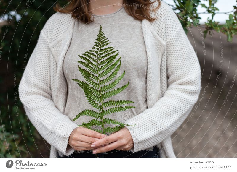 fern Nature Fern Plant To hold on Hand Forest Green Woman Summer Autumn Exterior shot guard sb./sth.