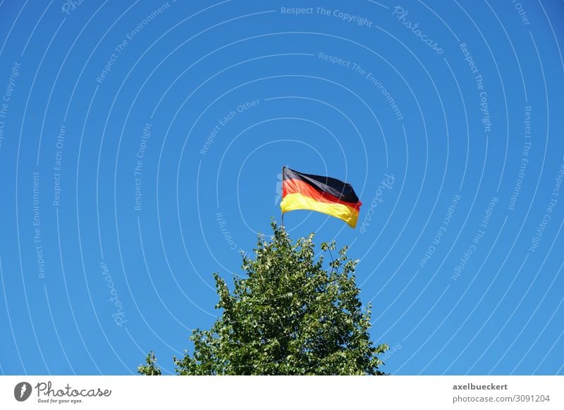 German flag on tree top Environment Nature Landscape Sky Cloudless sky Beautiful weather Wind Tree Garden Forest Sign Flag Gold Red Black Germany German Flag