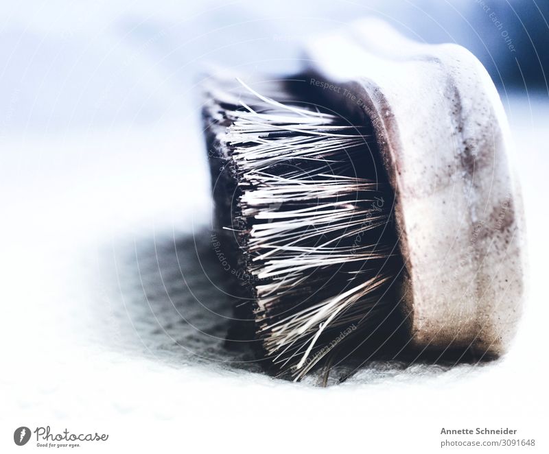 hand brush Wood Water Sustainability Wellness Subdued colour Morning Shallow depth of field