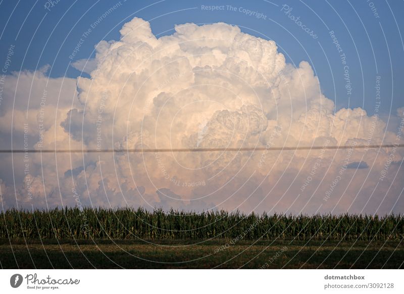 The little cloud Environment Nature Landscape Plant Sky Clouds Storm clouds Summer Autumn Climate Weather Thunder and lightning Field Exceptional Gigantic Large