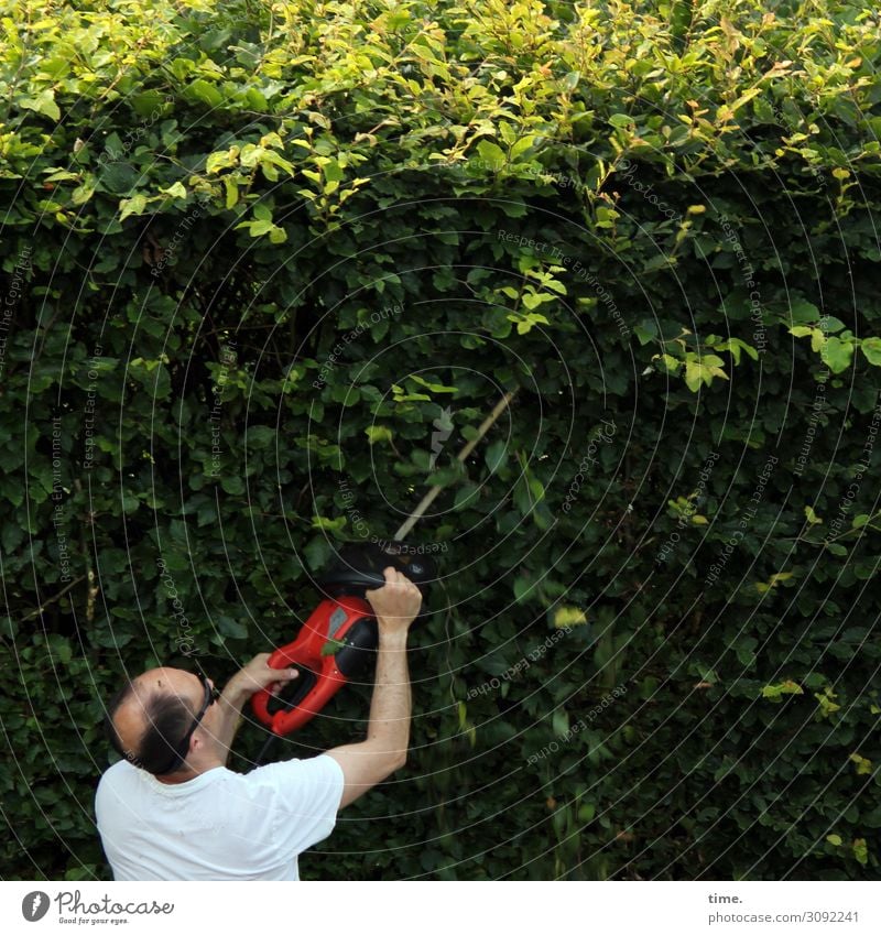 Careful, sharp! - Hedge trimming de luxe hedge trimming Work and employment Craftsperson Gardening Workplace Craft (trade) Masculine Man Adults 1 Human being