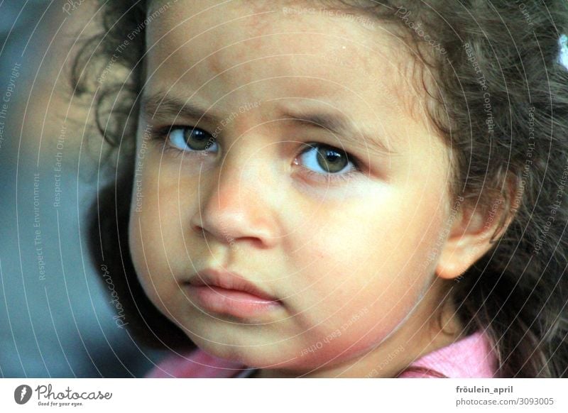What are you thinking right now? | Girl looks questioningly/skeptically into the camera Feminine Child Toddler Head Face 1 Human being 3 - 8 years Infancy