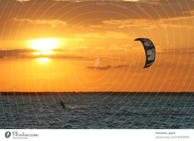 Solar energy Joy Freedom Summer Summer vacation Ocean Waves Sports Kiting Kiter Surfing 1 Human being Sunrise Sunset Sunlight Beautiful weather Coast Movement