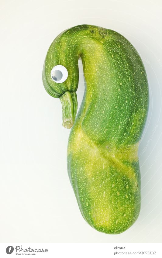 Zucchini Swan Nutrition courgette Vegetable Organic produce Ecological Sign saucer eye Exceptional Uniqueness Green Joy Surprise Design Discover Innovative
