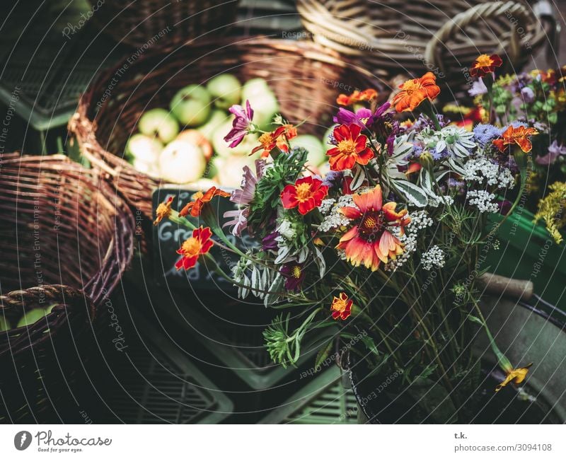 autumn bouquets Vegetable Fruit Organic produce Shopping Well-being Contentment Summer Environment Autumn Plant Flower Blue Brown Gray Orange Red Markets
