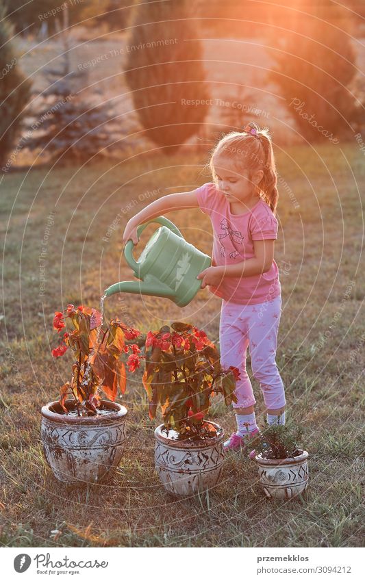 Little girl helping to water the flowers Pot Lifestyle Summer Summer vacation Garden Child Work and employment Gardening Human being Girl 1 3 - 8 years Infancy