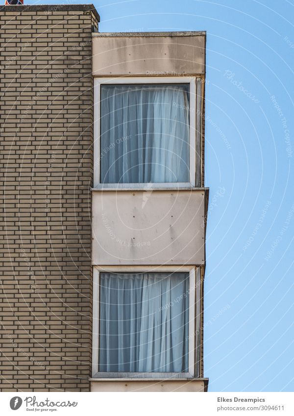 windows House (Residential Structure) High-rise Building Wall (barrier) Wall (building) Window Line Stripe Brown Gray Noordwijk Subdued colour Exterior shot Day