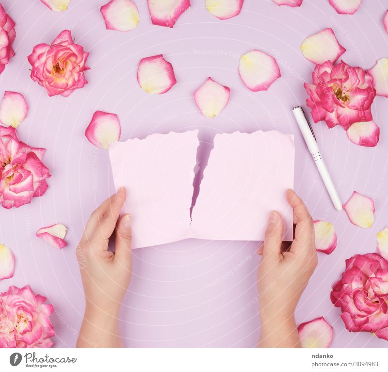 two hands hold an empty pink sheet Design Beautiful Summer Decoration Feasts & Celebrations Wedding Birthday Hand Plant Flower Leaf Blossom Paper Pen Love Write