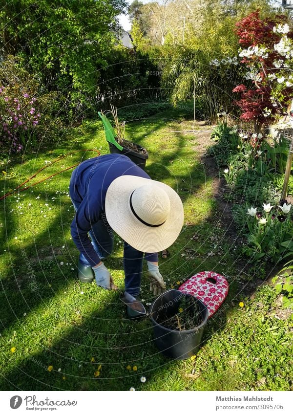 Woman with a sun hat doing gardening work Living or residing Garden Human being Feminine Adults 1 45 - 60 years Environment Nature Summer Hat