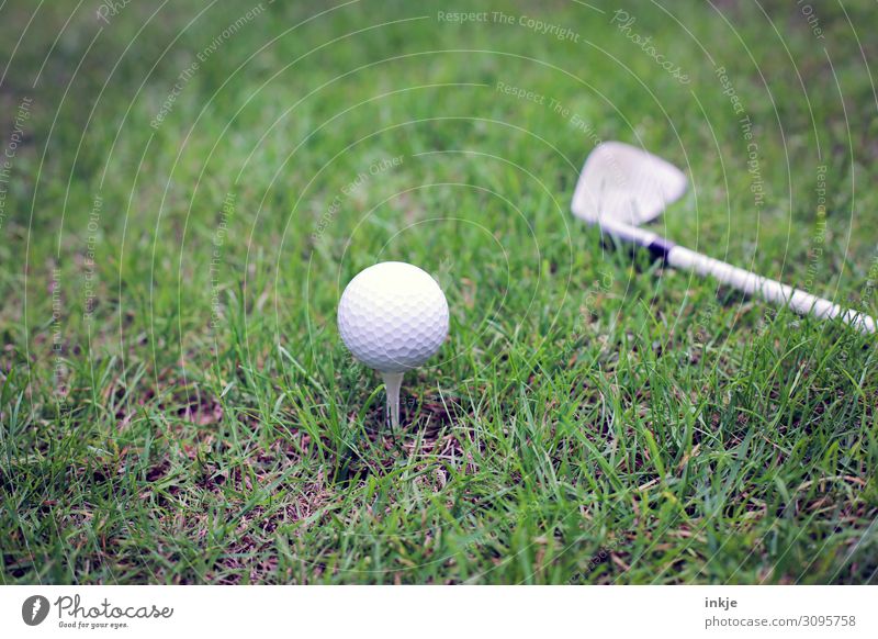 Golf ball on tee Golf club Tee off Golf course Meadow Near Green White Colour photo Subdued colour Exterior shot Close-up Deserted Day Light Contrast