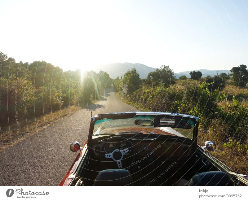 Corsica Lifestyle Luxury Vacation & Travel Trip Summer Summer vacation Sun Motoring Beautiful weather Deserted Street Country road Car Convertible Authentic