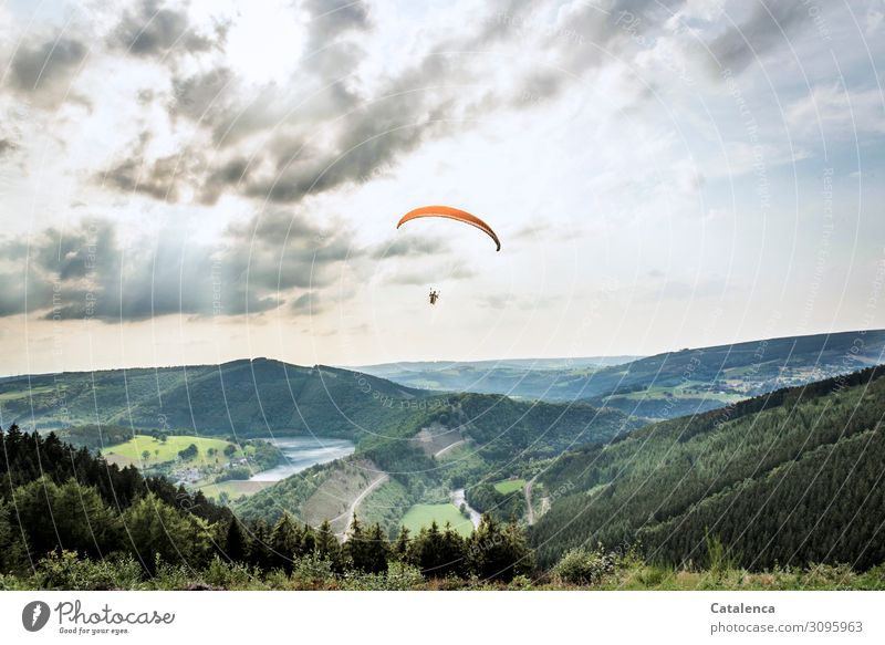 A paraglider floats over the hilly landscape, you see a reservoir, meadows, forests Nature Landscape Plant Grass trees Hill Reservoir person Paraglider