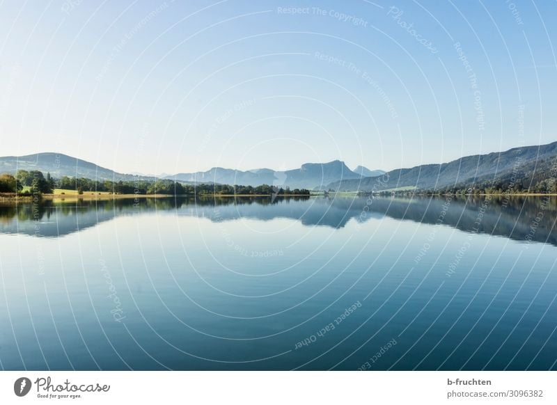 Landscape in the Salzkammergut Harmonious Relaxation Vacation & Travel Mountain Environment Nature Water Summer Autumn Beautiful weather Forest Alps Lakeside