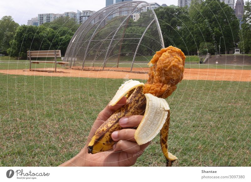 Chicknana - A Meat Substitute Food Vegetable Fruit Chicken Nutrition Vegetarian diet Diet Fast food Lifestyle baseball field Baseball Science & Research Hand