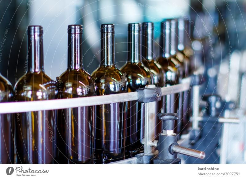 Glass bottles in bottling machine Bottle Industry Technology Modern wine-making Winery Filling machine automated conveyor drink filling glass grapevine Produce