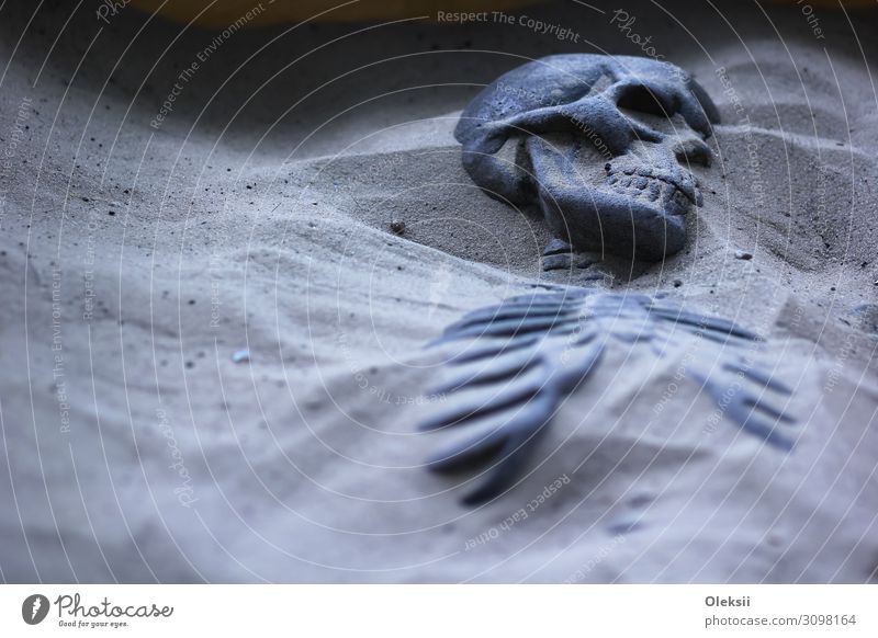 Excavated skeleton in sand Sand Fear End Peace Culture Colour photo Interior shot Copy Space left Night Deep depth of field Portrait photograph