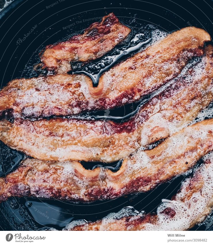 Cooking Bacon in a Cast Iron Pan Breakfast Meat Pork Food Dish Food photograph Morning Pigs sizzle Hot Heat Fresh Cast iron Metal
