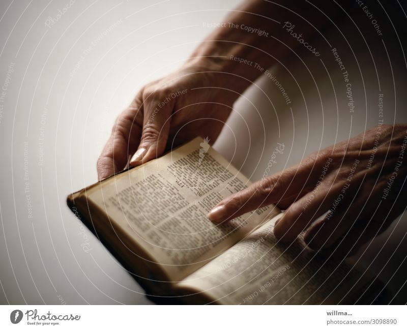 Finger of a hand rests on a passage of the Bible Reading Book History of the holy script Hand Forefinger God Faith & Religion text passage chapters hands