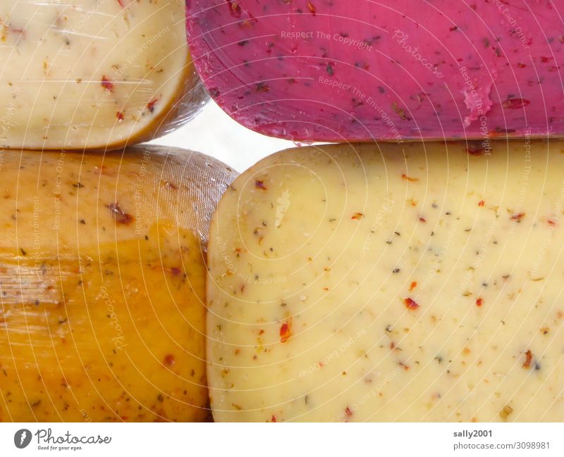 All cheese... Food Cheese Nutrition Firm Multicoloured To enjoy Difference Market stall Market day Cheese market Cheese body Herbs and spices Mature Delicious