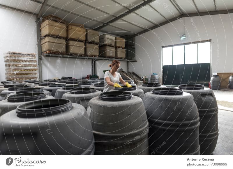 barrels Fruit Work and employment Workplace Factory Industry Business Company Human being Woman Adults Plant Container Gloves Old Select Stand Fresh Protection