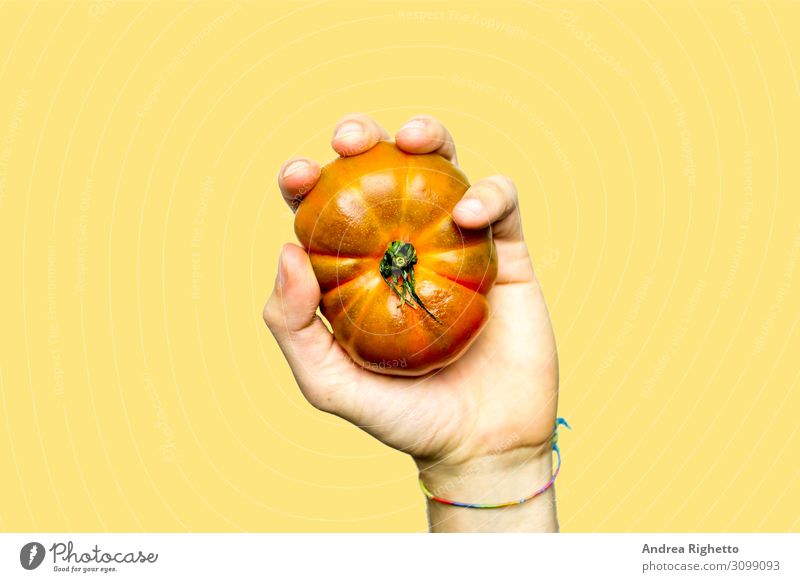 Concept of La Tomatina Festival in the Valencian town of Buñol in Spain. Hand holding a tomato in black and white with a yellow background. Concept of contemporary art collage and Zine Culture