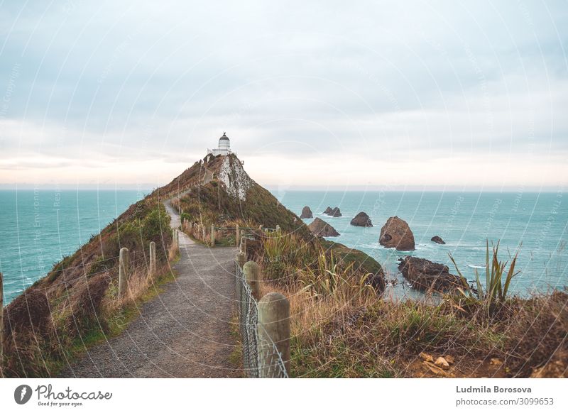 Follow the light Vacation & Travel Tourism Trip Adventure Far-off places Freedom Sightseeing Ocean Nugget Point New Zealand Lighthouse Landmark Blue Street