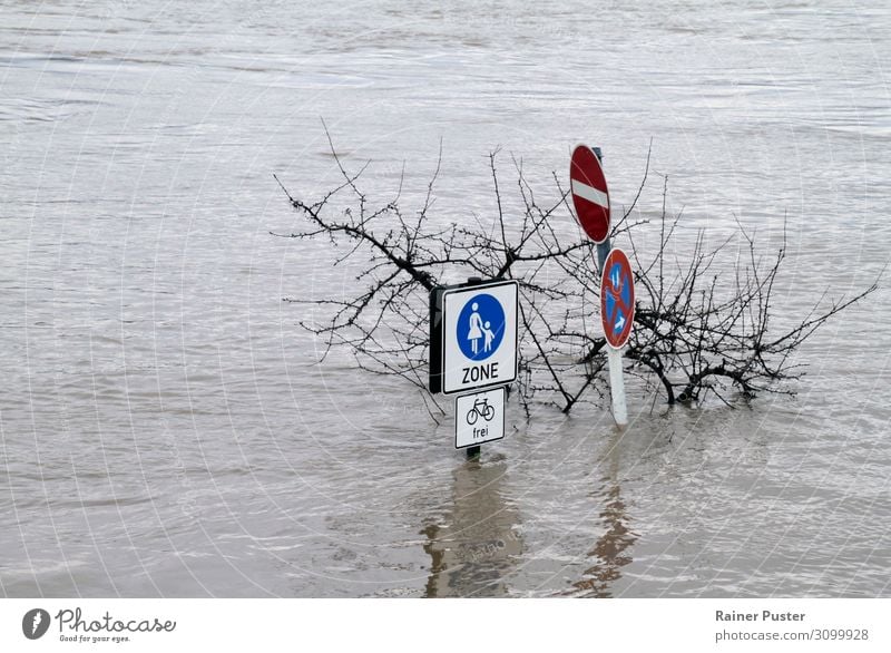 Climate change - Flooded pedestrian zone Nature Water Bad weather Gale River Rhine Destruction Deluge Inundated Go under Torrents of water Colour photo
